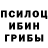 Галлюциногенные грибы Cubensis Kingkilla 777