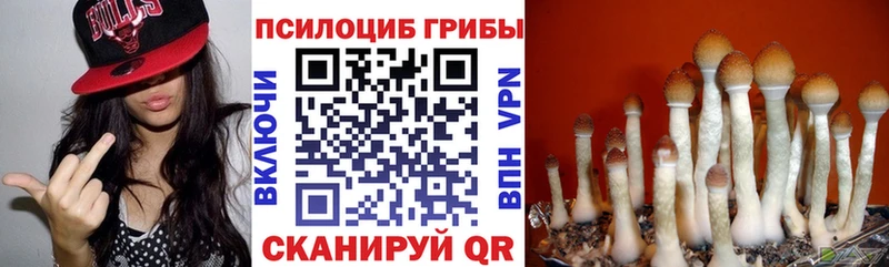 Псилоцибиновые грибы ЛСД  Черногорск 